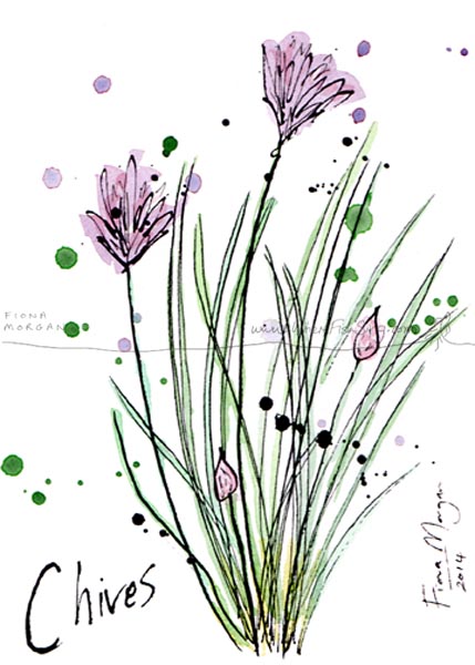 Culinary Herb - Chives - food painting by artist Fiona Morgan of wherefishsing