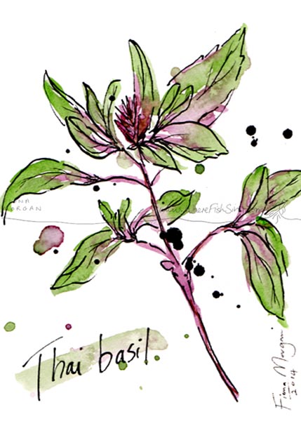 Culinary Herb - Thai Basil - food painting by artist Fiona Morgan of wherefishsing