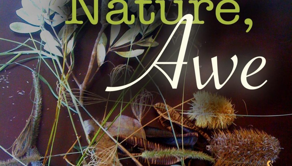 NatureAweArtist workshop