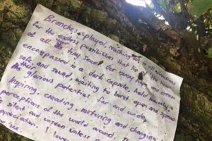 Love Letters to Trees workshop letter - Dorrigo Grassroots Writers Weekend 2017