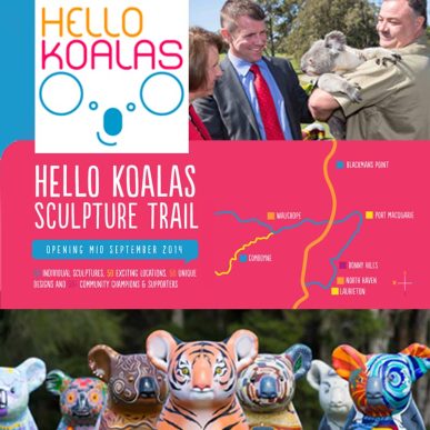 2014 & 2017<br />Hello Koalas