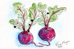 Bello Food Gardening - beetroot