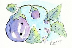 Bello Food Gardening - eggplant