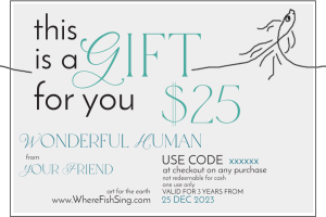 Gift Voucher $25