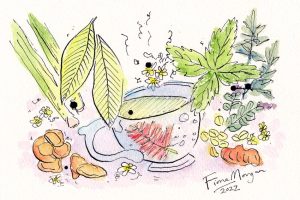BFG xxx herbal teas web