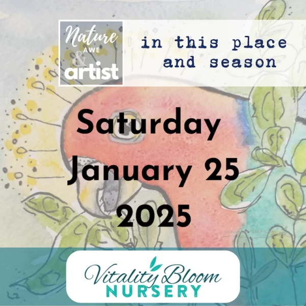 WORKSHOP 25 Jan 2025 Vitality Bloom Nursery - Nature Awe & Artist - In This Place & Season