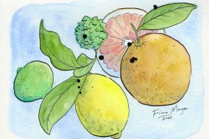citrusall