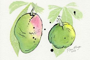 mangowhitesapote