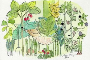 perennials