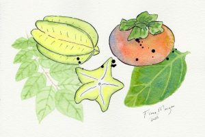 persimmonstarfruit