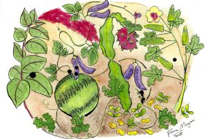 BFG xxx drought season