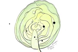 BFG 033 cabbage options web BFG 033 cabbage options web